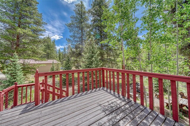 1642 Hummer Ct, Leadville, CO 80461 - photo 35