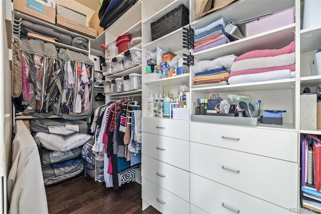 walk in closet with dark wood-type flooring