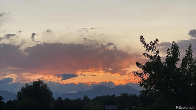 8680 Allison St Unit O, Arvada, CO 80005 - view of mountain backdrop with a forest