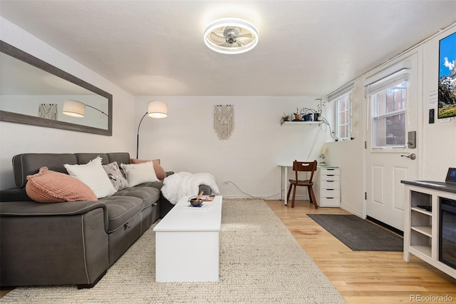 living room featuring wood-type flooring