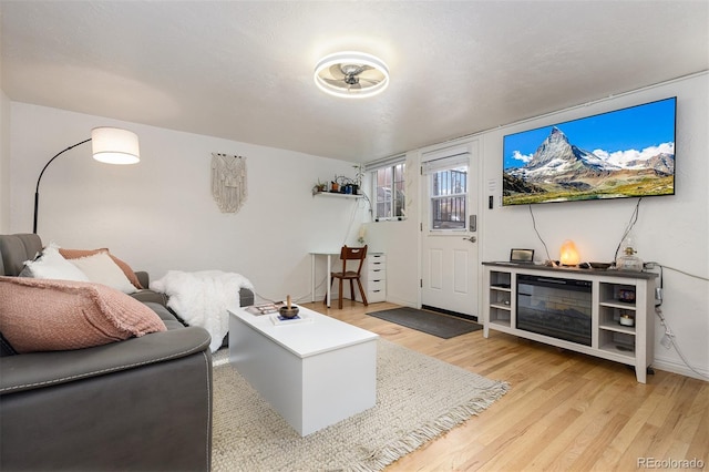 living room with light hardwood / wood-style floors