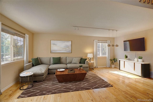 living room featuring rail lighting and wood-type flooring