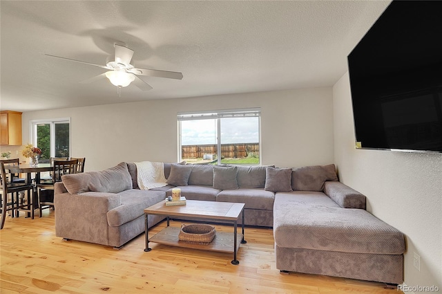 living room featuring light wood-style floors, ceiling fan, and a textured ceiling