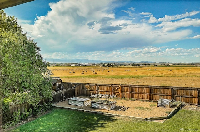 view of yard with a garden, a fenced backyard, and a rural view