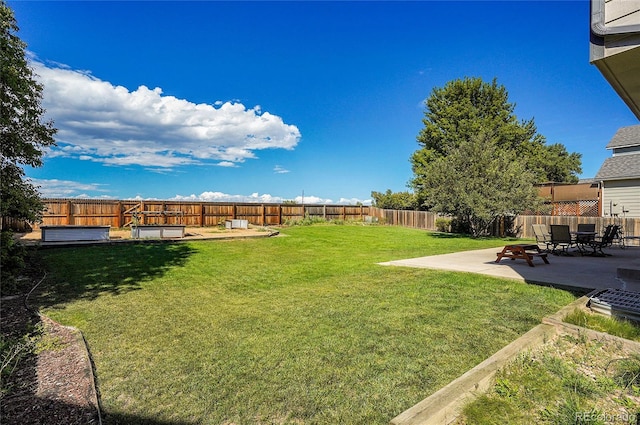 view of yard with a patio area and a fenced backyard