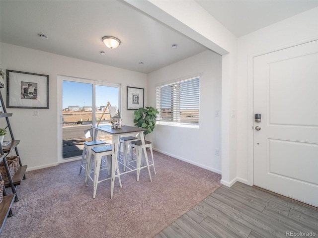 dining space with hardwood / wood-style flooring