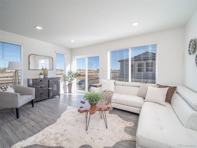 living room featuring hardwood / wood-style flooring