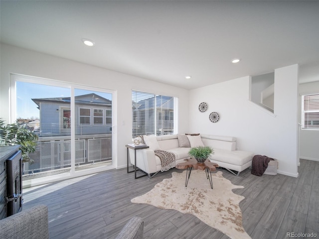 living room with wood-type flooring