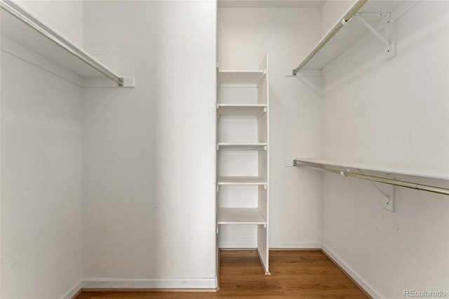 8427 S Hoyt Way Unit 203, Littleton, CO 80128 - spacious closet with wood finished floors