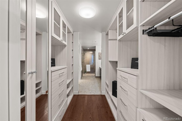 walk in closet with dark hardwood / wood-style flooring