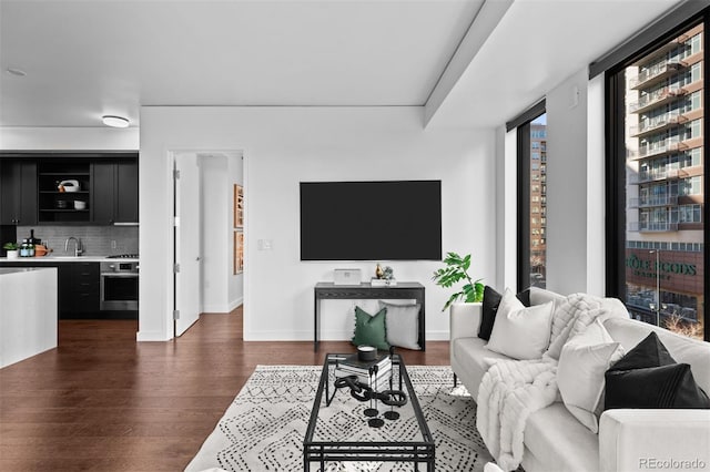 living room featuring sink and dark hardwood / wood-style flooring