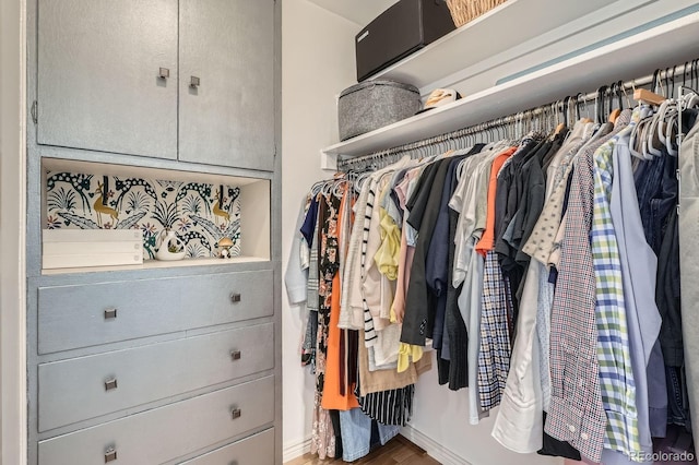 790 N Washington St Unit 1003, Denver, CO 80203 - spacious closet featuring wood finished floors