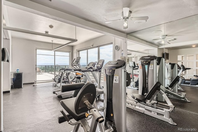 790 N Washington St Unit 1003, Denver, CO 80203 - workout area with a ceiling fan