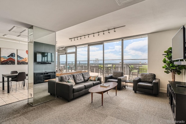 790 N Washington St Unit 1003, Denver, CO 80203 - carpeted living area with rail lighting and baseboards