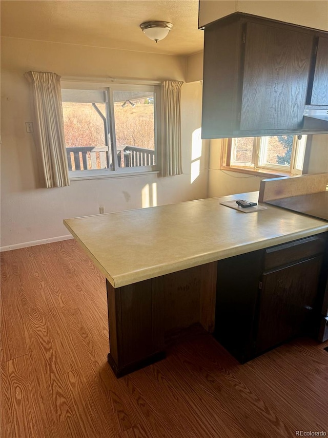 kitchen with dark brown cabinetry and light hardwood / wood-style flooring