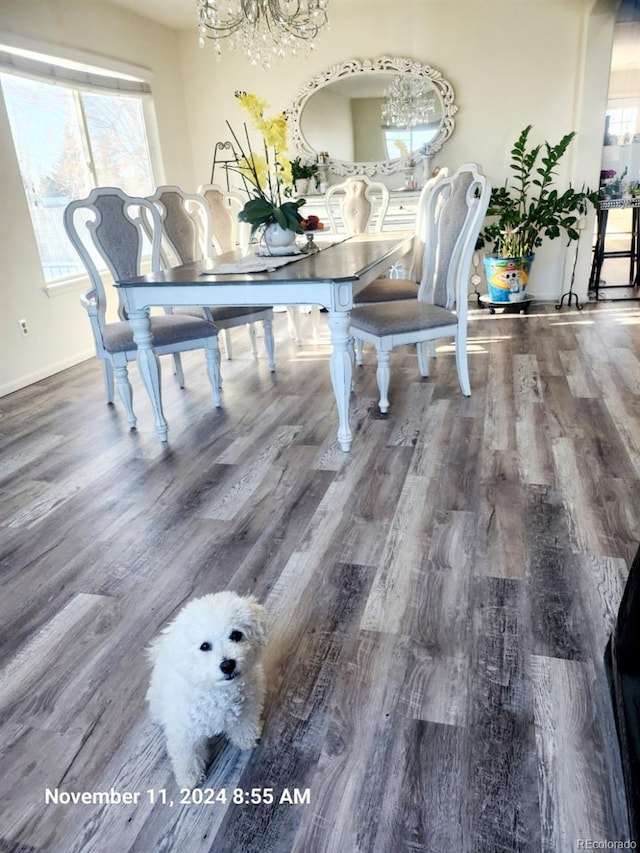 dining room featuring a notable chandelier and dark hardwood / wood-style flooring