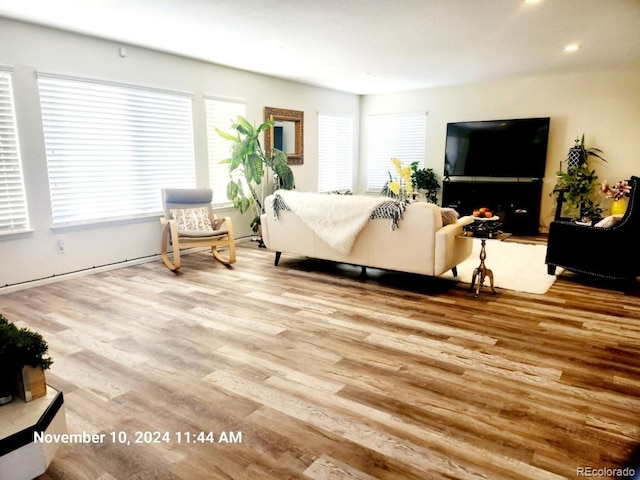 living room with light hardwood / wood-style flooring