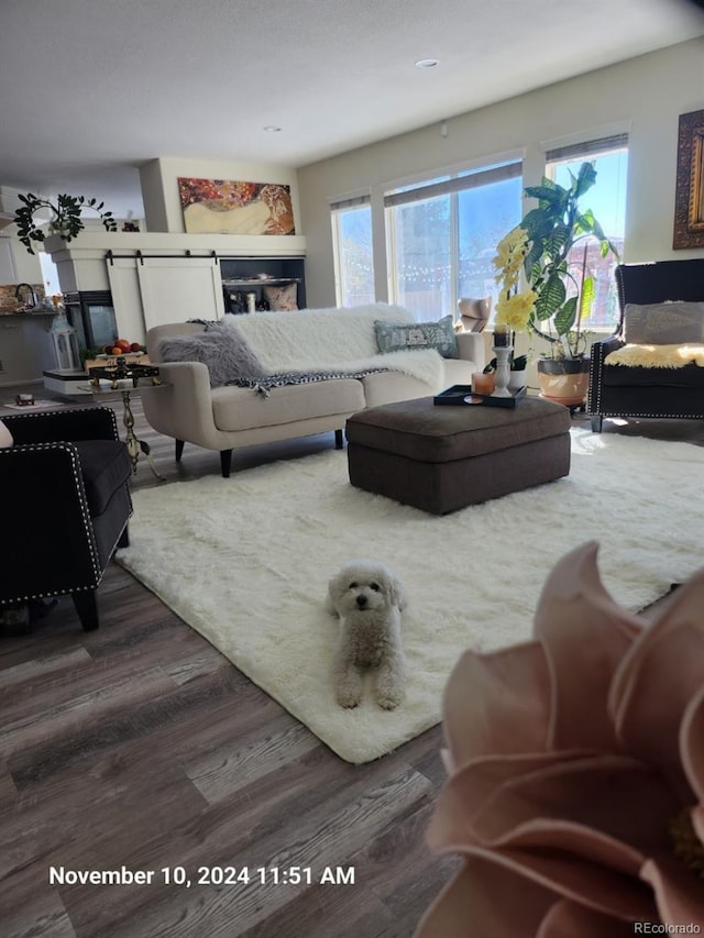 living room with dark hardwood / wood-style flooring