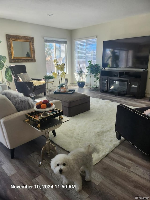 living room with hardwood / wood-style floors