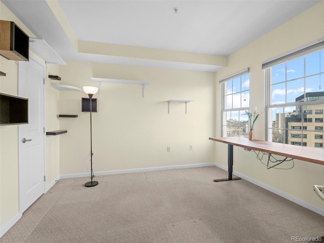 interior space with baseboards and carpet floors