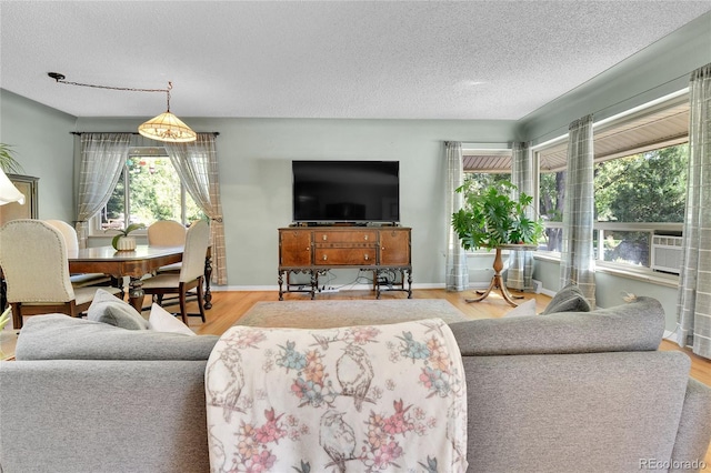 living area with a textured ceiling, wood finished floors, and baseboards