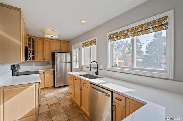 1166 Rosemary St, Denver, CO 80220 - photo 6