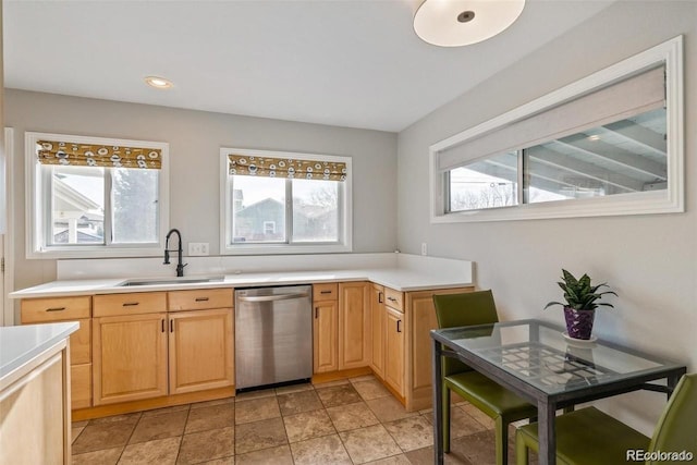 1166 Rosemary St, Denver, CO 80220 - photo 9