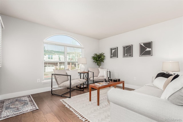 living room featuring dark hardwood / wood-style flooring