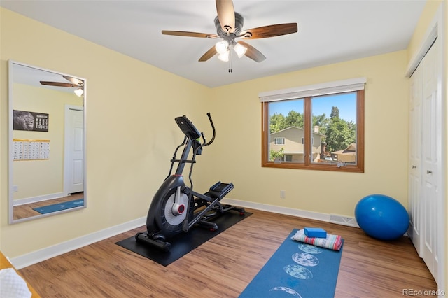 1332 S Yank St, Lakewood, CO 80228 - photo 13