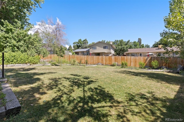 1332 S Yank St, Lakewood, CO 80228 - photo 35
