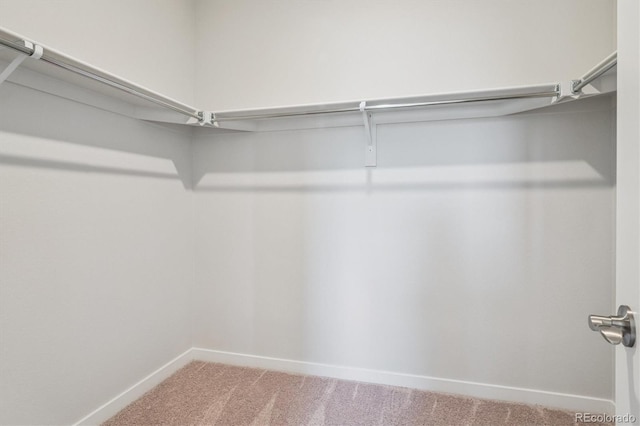 14129 Deertrack Ln, Parker, CO 80134 - photo 23