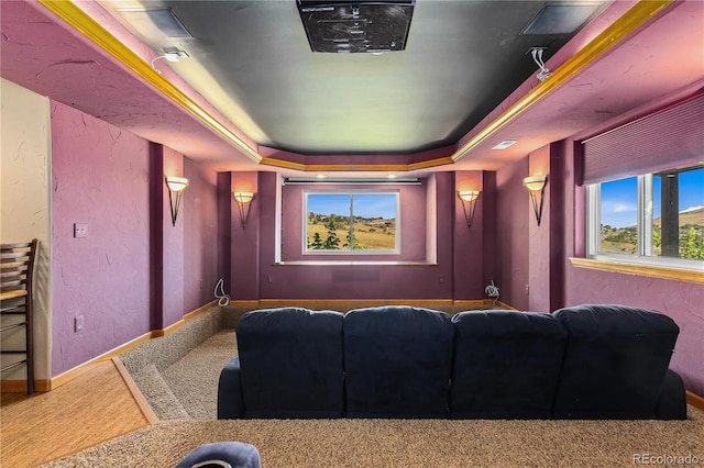 cinema with a tray ceiling and carpet