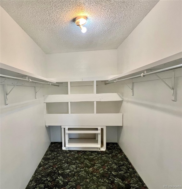 walk in closet featuring carpet