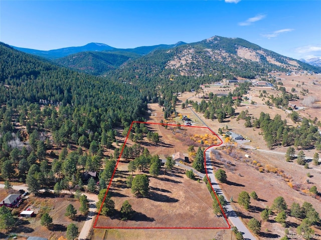 birds eye view of property featuring a mountain view