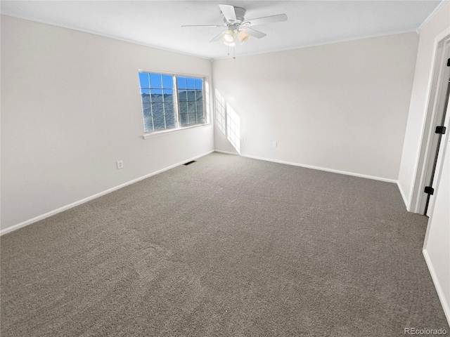 unfurnished room with ceiling fan, carpet, and ornamental molding