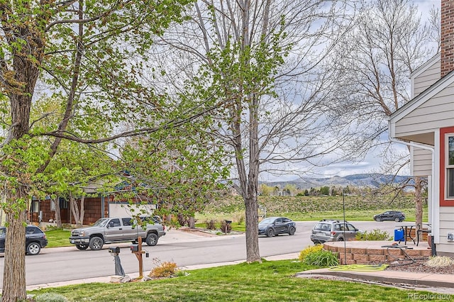 view of yard featuring a mountain view
