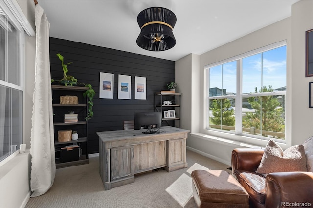 8376 Basalt Dr, Littleton, CO 80125 - photo 4