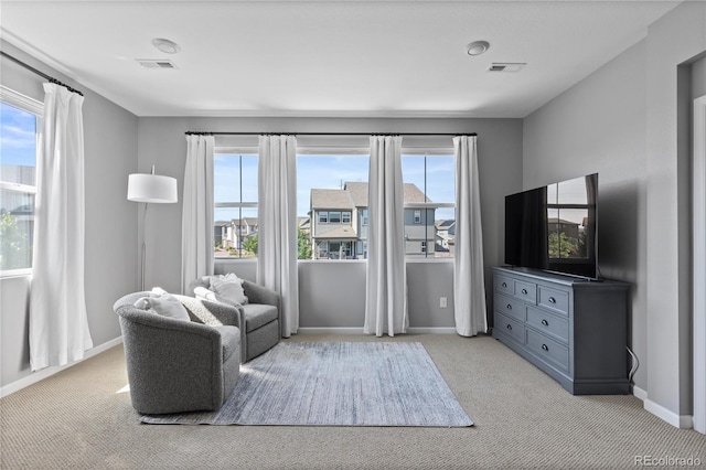 8376 Basalt Dr, Littleton, CO 80125 - photo 28