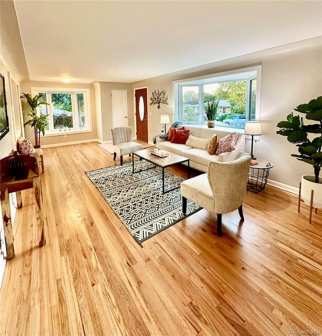 living room featuring hardwood / wood-style flooring