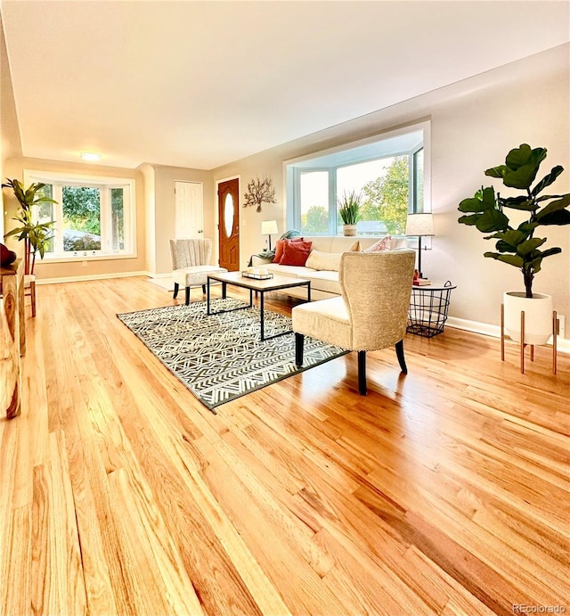 living room featuring wood-type flooring and plenty of natural light