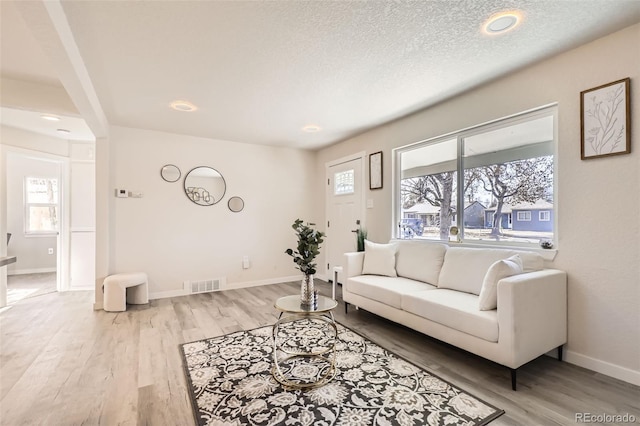 living room featuring a textured ceiling, light hardwood / wood-style floors, and plenty of natural light