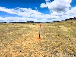 231 S Muley Gulch Dr, Hartsel, CO 80449 - photo 11