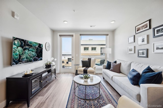 living room featuring light hardwood / wood-style floors and a healthy amount of sunlight