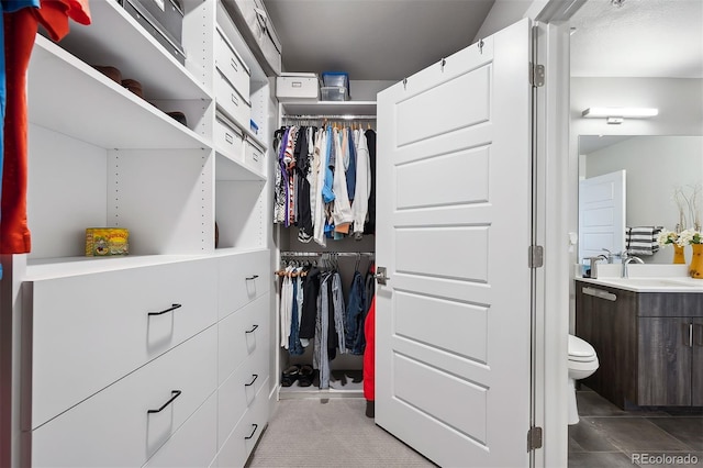 spacious closet with sink