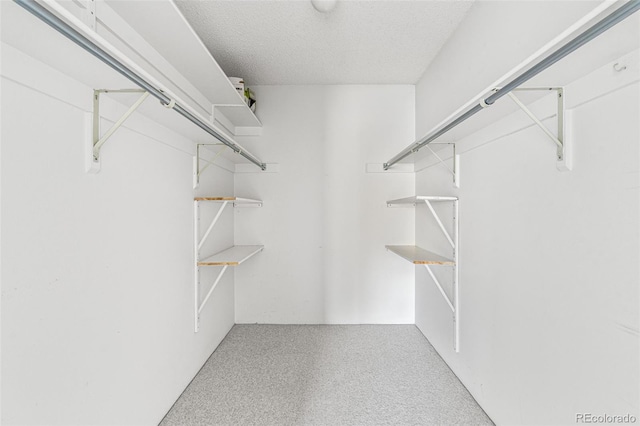 spacious closet with carpet