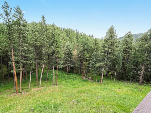 19795 Flint Ln, Morrison, CO 80465 - view of wooded area