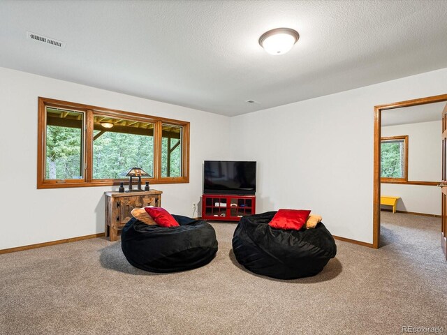 19795 Flint Ln, Morrison, CO 80465 - living room with carpet