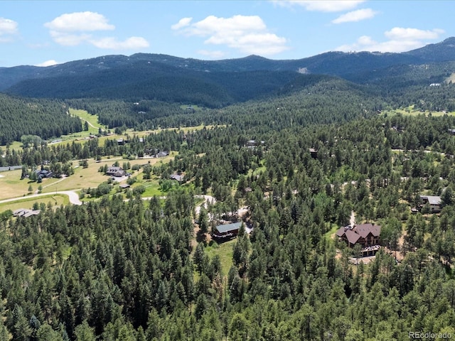 19795 Flint Ln, Morrison, CO 80465 - bird's eye view of mountains