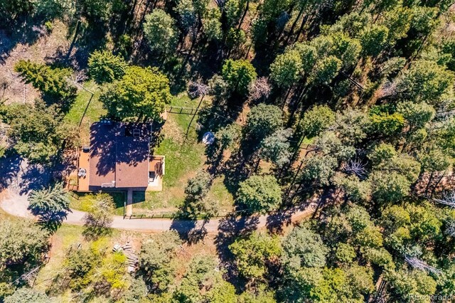 25357 Snyder Ave, Conifer, CO 80433 - view of subject property