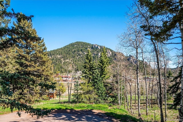 25357 Snyder Ave, Conifer, CO 80433 - mountain view with a forest